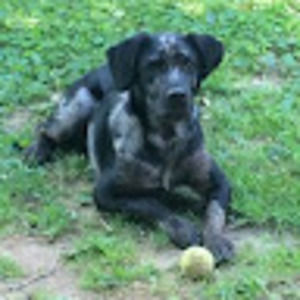 Meet your Posher, Paul